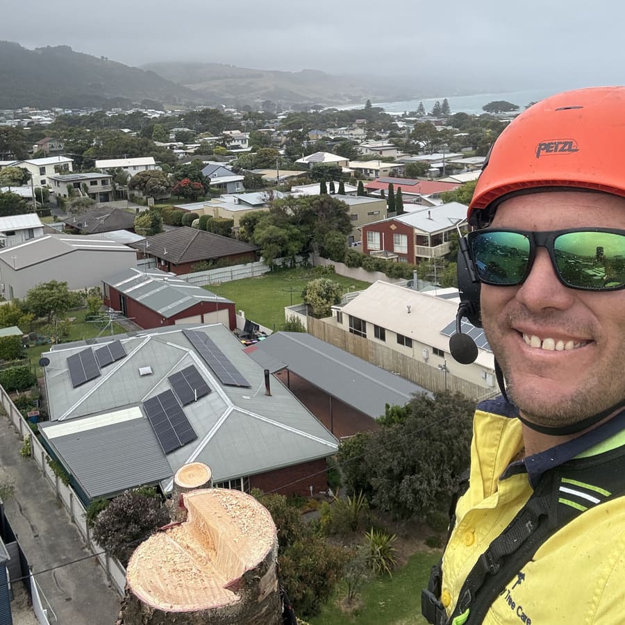 Otway Tree Care crew removing a large tree section by crane