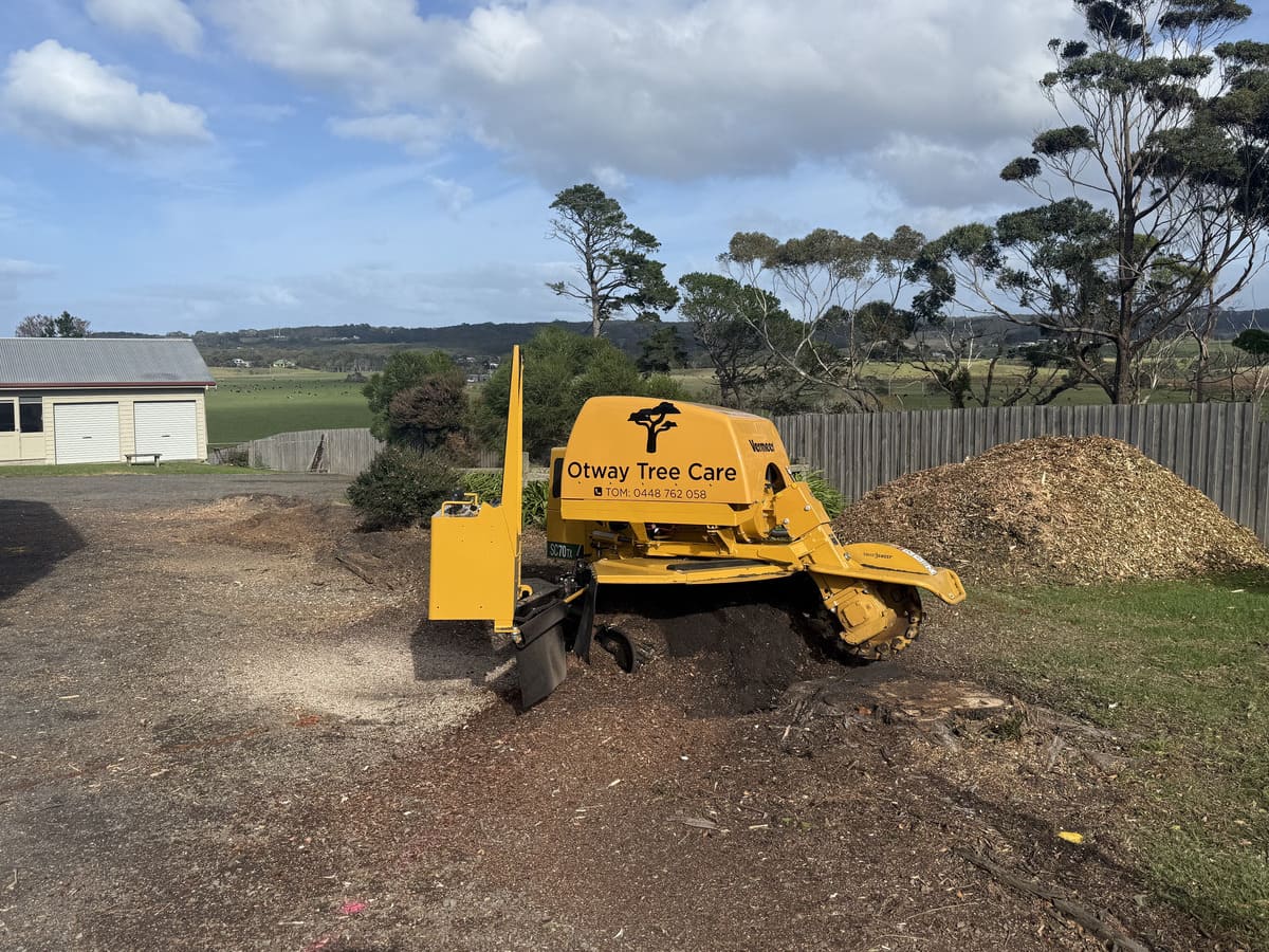 Otway Tree Care stump grinder removing a tree stump