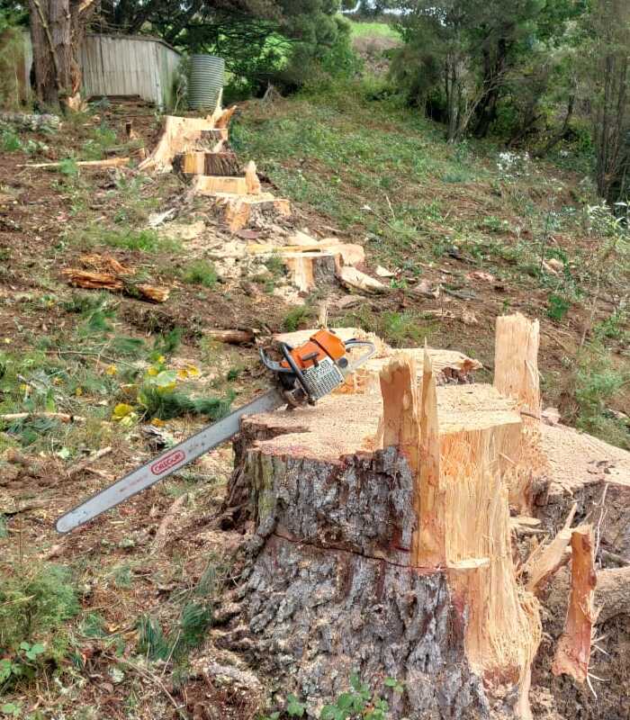 Otway Tree Care stump grinding machinery clearing a residential yard