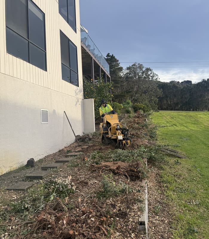 Otway Tree Care stump grinder working beside a commercial building