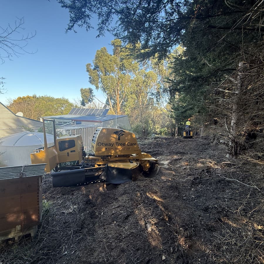 Forestry mulcher clearing a bush track