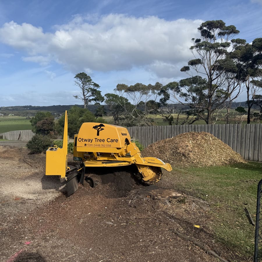 Otway Tree Care stump grinder clearing a large stump with a wood chip pile