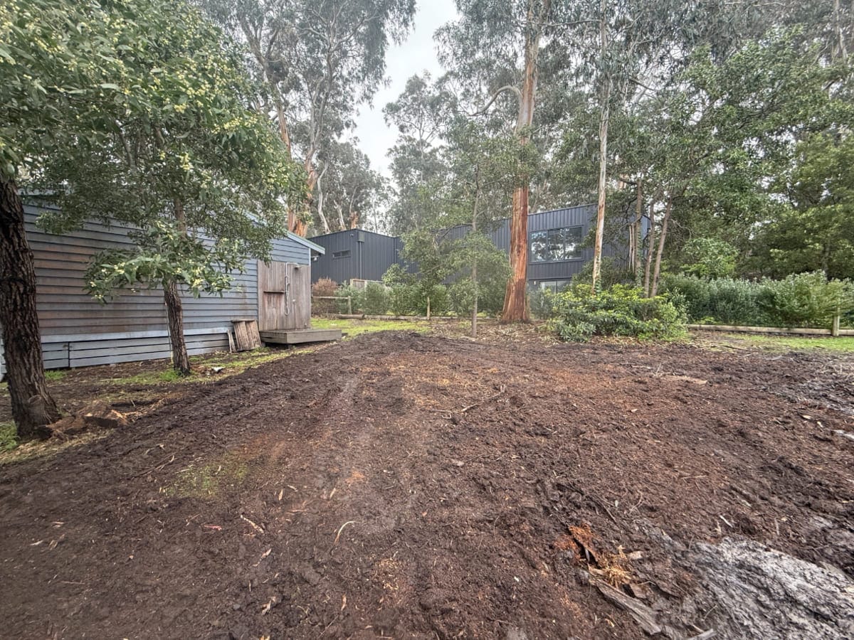 Cleared block ready for landscaping after tree removal in the Otways