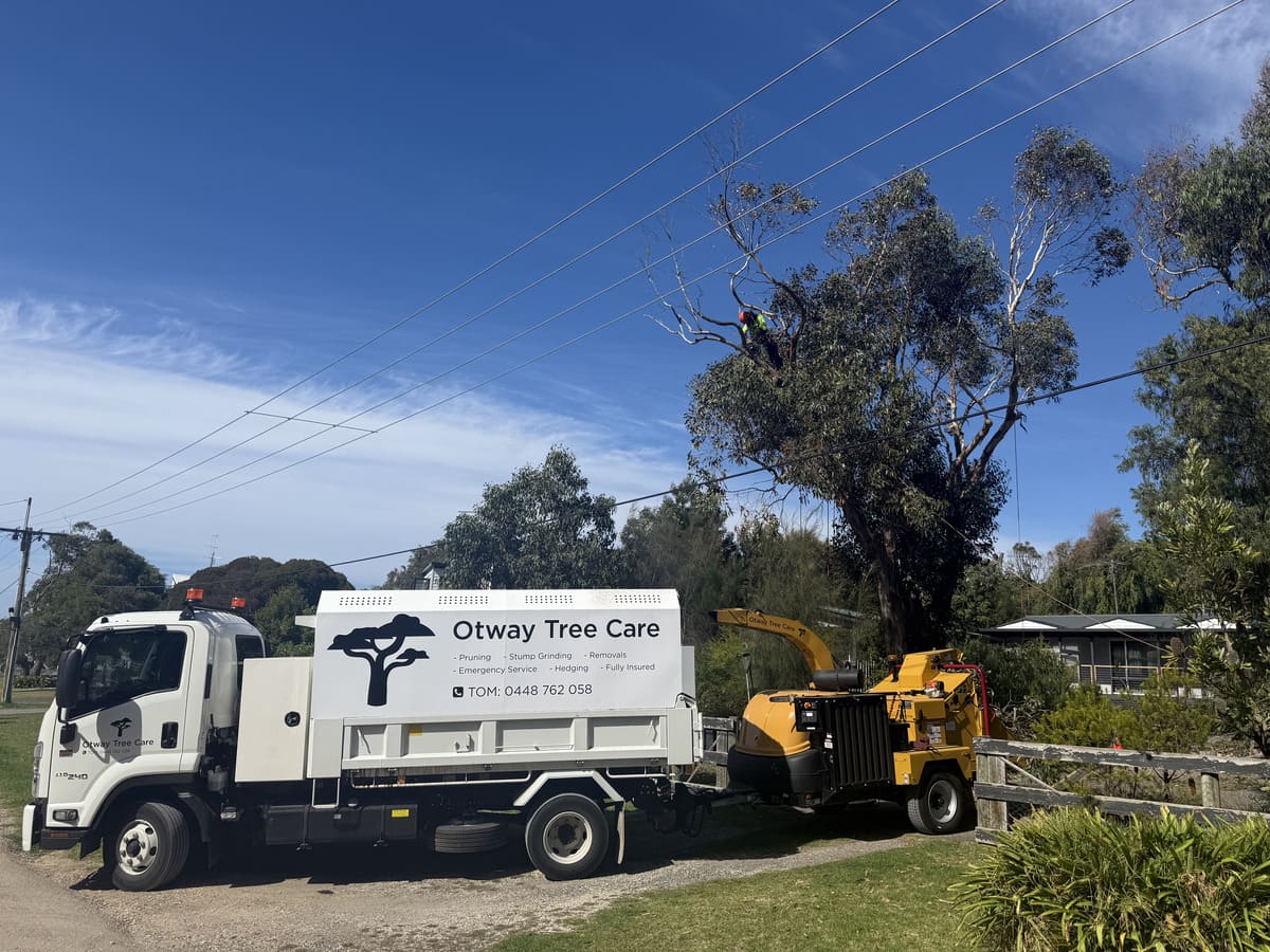 Otway Tree Care truck and wood chipper with an arborist working in a tree above