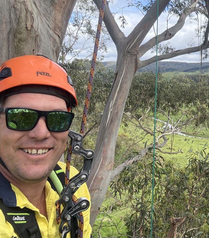 Tom Kleindienst, founder of Otway Tree Care, harnessed up in a tree