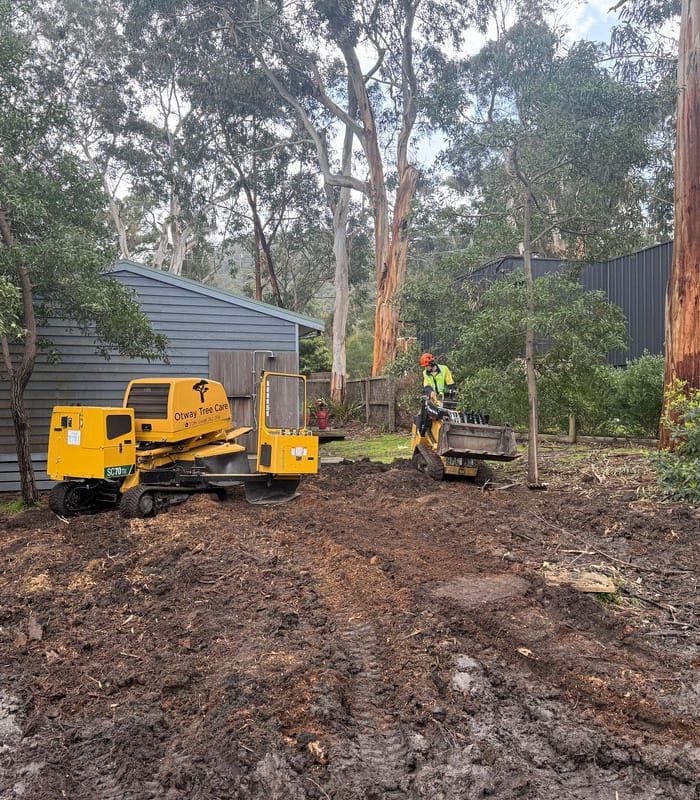 Storm-damaged tree fallen on a caravan, ready for waste removal