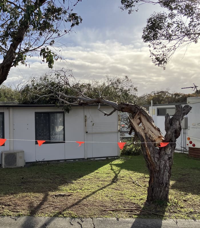 Storm-damaged tree branch resting on a cabin roof, ready for emergency removal