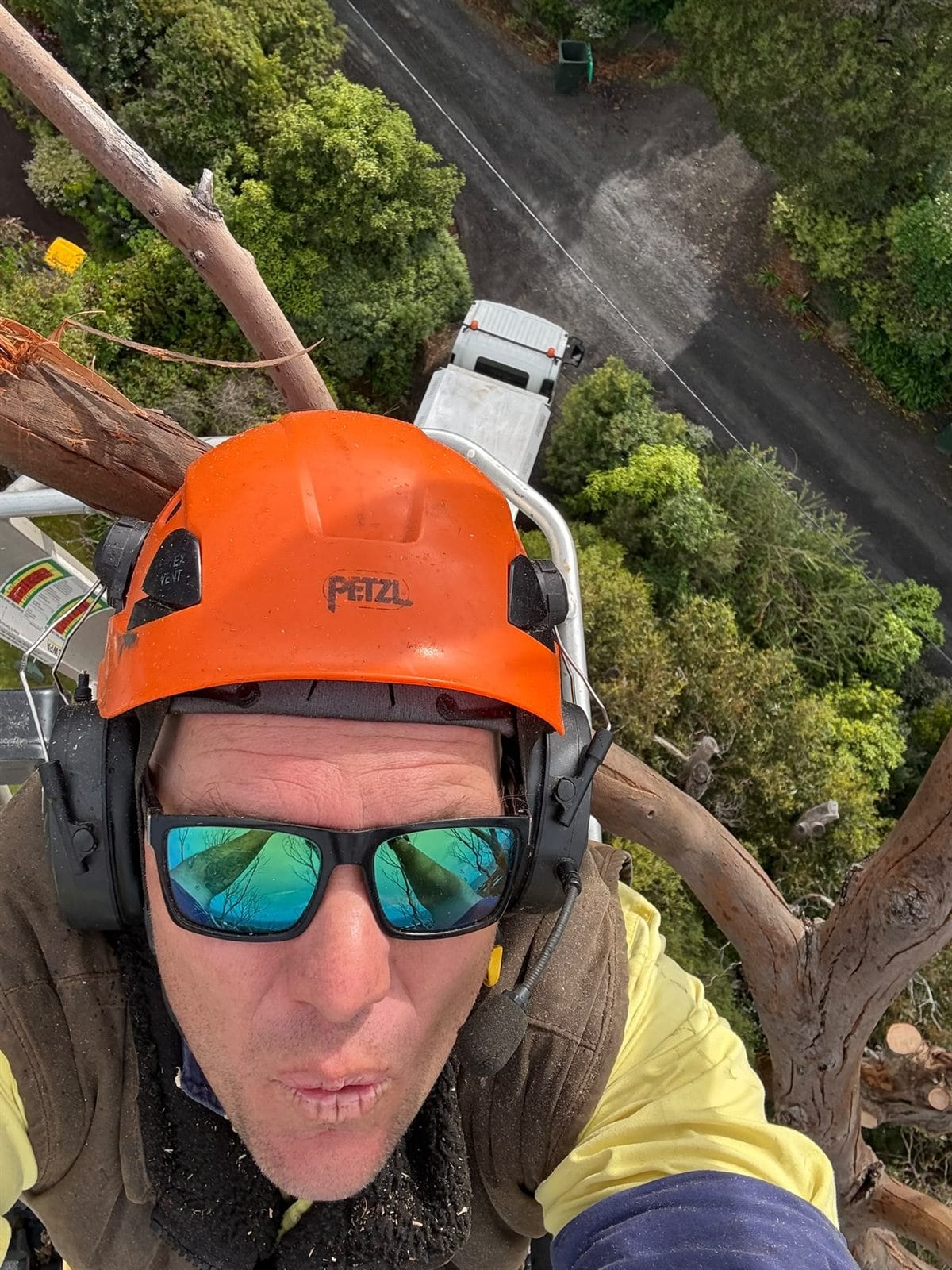 Otway Tree Care arborist at a serious working height removing a dead tree safely in Skenes Creek