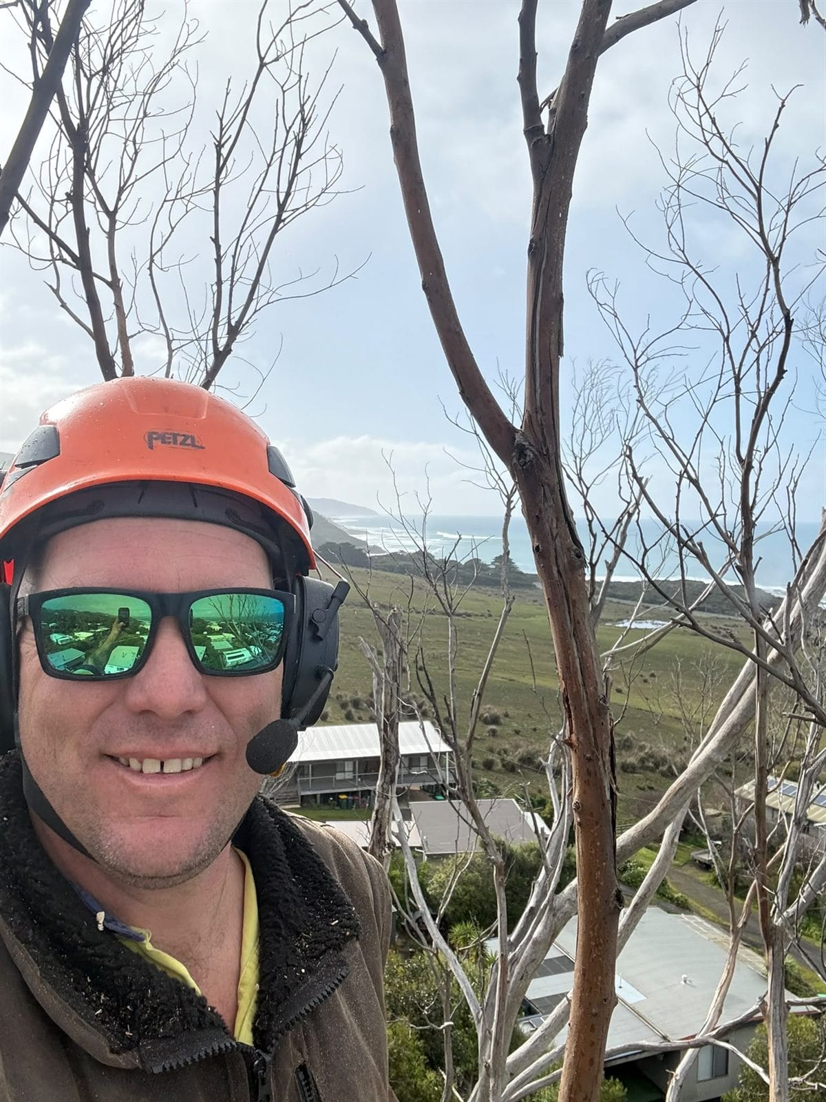 Removing a huge dead eucalyptus in Skenes Creek with a spider lift