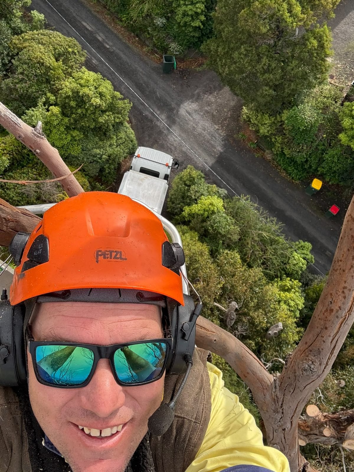 Arborist working from a spider lift high above the truck and road during a tree removal in Skenes Creek