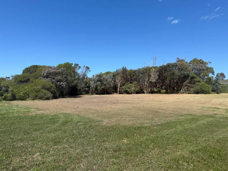 The same airfield edge after clearing, with open ground in front of the remaining tree line