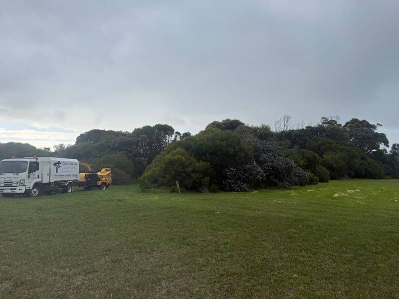 A wide band of scrub along the airfield under a grey sky, with the Otway Tree Care truck at one end
