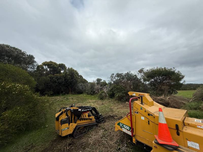 Yellow tracked mulcher and chipper among cleared scrub beside an airfield