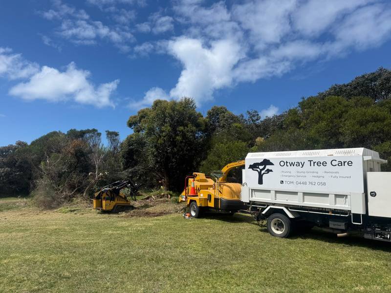 Tracked mulcher and chipper working at the edge of thick coastal scrub, with the Otway Tree Care truck alongside