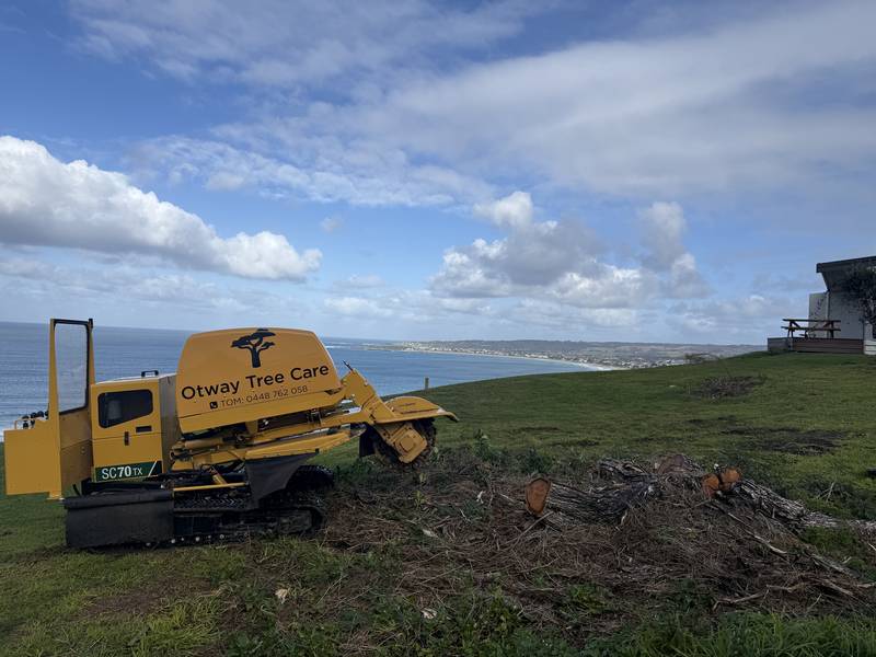 Otway Tree Care stump grinder on a clifftop lawn above the ocean