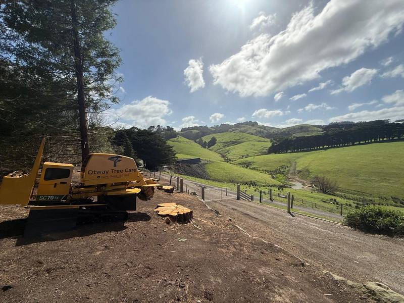 Otway Tree Care stump grinder working through cypress stumps on a rural driveway