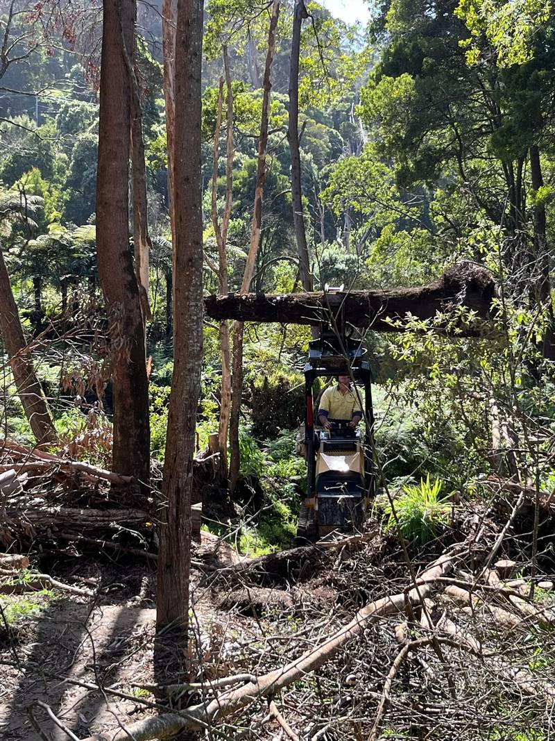 Tracked loader carrying a log out through wet forest