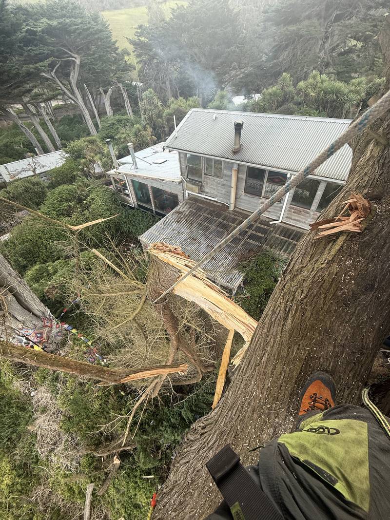 A storm-damaged tree lying across a house roof, seen from above