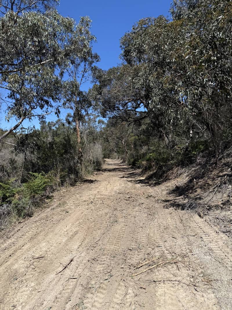 The same track after mulching, wide and clear