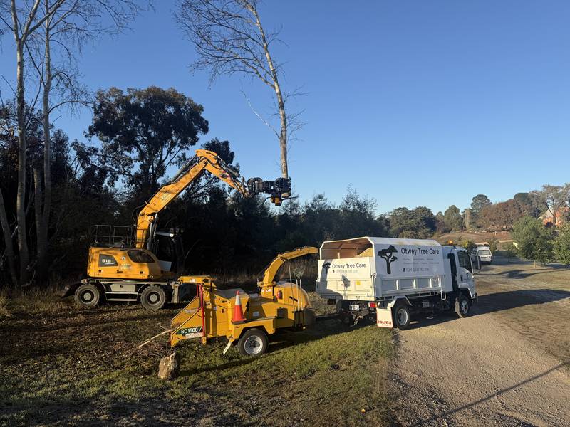 Excavator, chipper and truck clearing a roadside block